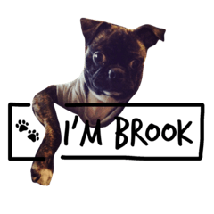 I'm Brook ！