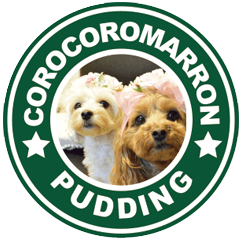 corocoromarron+pudding